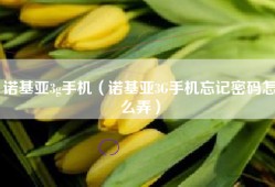 诺基亚3g手机（诺基亚3G手机忘记密码怎么弄）