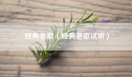 经典老歌（经典老歌试听）