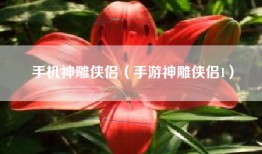 手机神雕侠侣（手游神雕侠侣1）