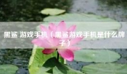 黑鲨 游戏手机（黑鲨游戏手机是什么牌子）