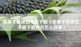 苹果手机微信不能下载（苹果手机微信不能下载照片怎么回事）