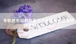 手机进水没有声音了（手机进水没有声音了怎么办oppo）