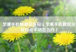 苹果手机触屏没反应（苹果手机触屏没反应点不动怎么办）