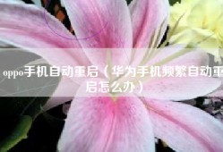 oppo手机自动重启（华为手机频繁自动重启怎么办）