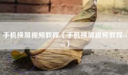 手机换屏视频教程（手机换屏视频教程vivo）