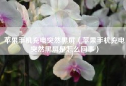 苹果手机充电突然黑屏（苹果手机充电突然黑屏是怎么回事）