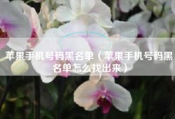 苹果手机号码黑名单（苹果手机号码黑名单怎么找出来）