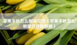 苹果手机怎么删除文件（苹果手机怎么删除文件和数据）