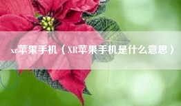 xr苹果手机（XR苹果手机是什么意思）