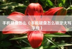 手机键盘怎么（手机键盘怎么锁定大写字母）