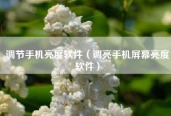 调节手机亮度软件（调亮手机屏幕亮度软件）