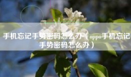 手机忘记手势密码怎么办（oppo手机忘记手势密码怎么办）