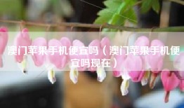 澳门苹果手机便宜吗（澳门苹果手机便宜吗现在）