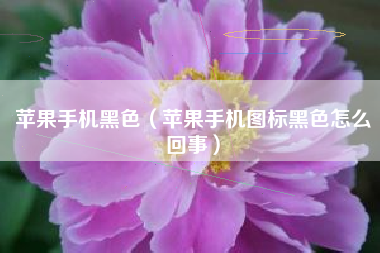 苹果手机黑色（苹果手机图标黑色怎么回事）