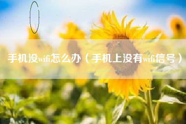 手机没wifi怎么办（手机上没有wifi信号）