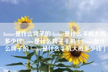 honor是什么牌子的 honor是什么手机大概多少钱honor是什么牌子手机「honor是什么牌子的 honor是什么手机大概多少钱」