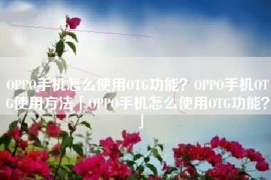 OPPO手机怎么使用OTG功能？OPPO手机OTG使用方法「OPPO手机怎么使用OTG功能？」